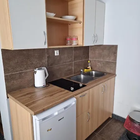 And Πανσιόν Vlasic